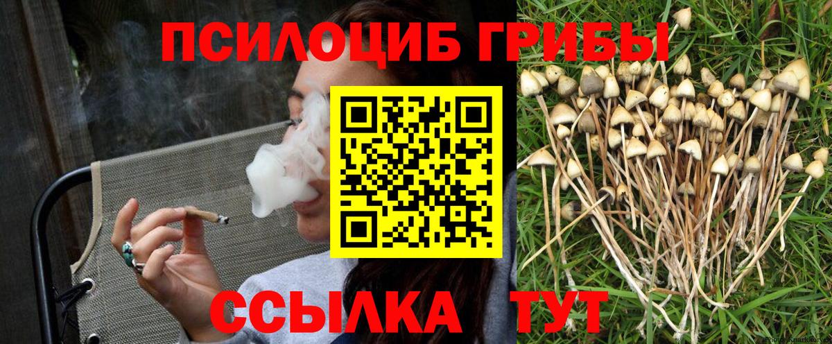 Галлюциногенные грибы Psilocybine cubensis  Псилоцибиновые грибы MAGIC MUSHROOMS  дарнет шоп  Вход с VPN  Будённовск 