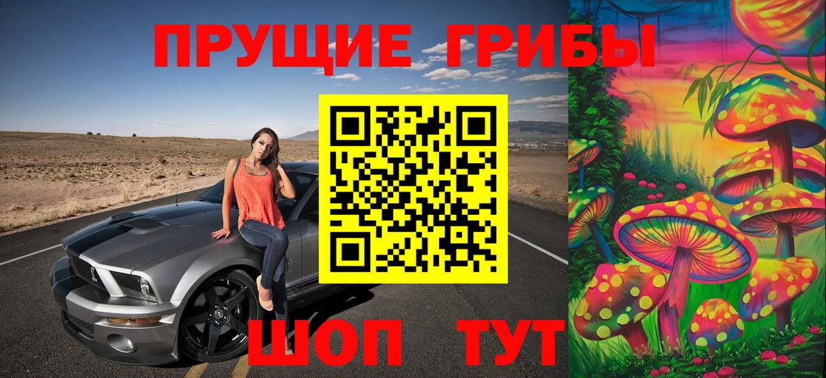 Галлюциногенные грибы Cubensis Будённовск