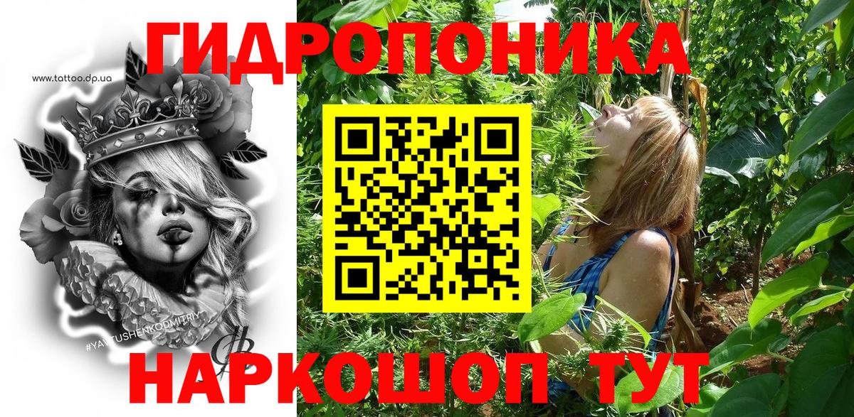 Конопля конопля Будённовск