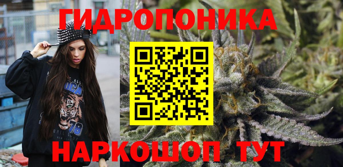Шишки марихуана тримм  Бошки Шишки Amnesia  Будённовск  Вход с VPN 